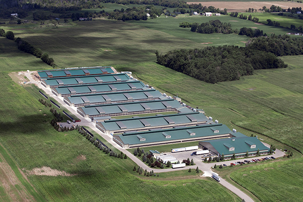 Zhuhai Silver Stream Co., Ltd.